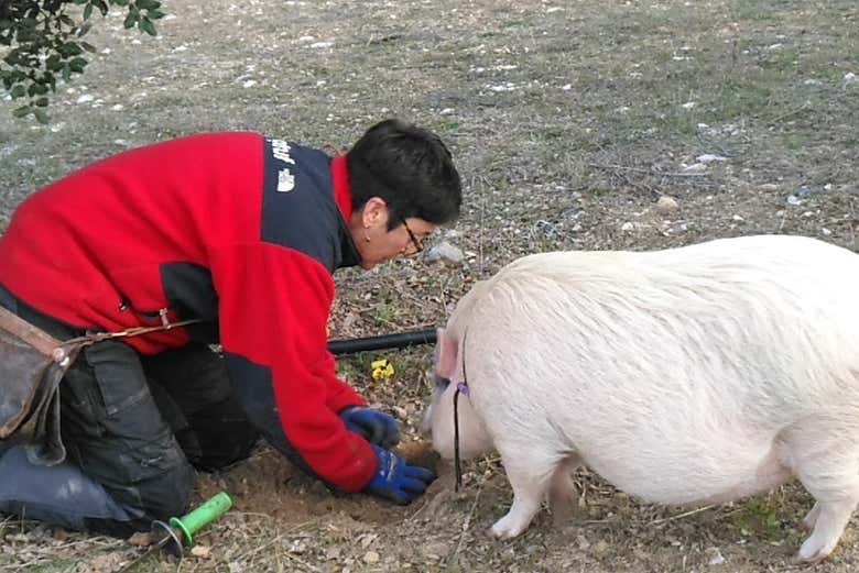Imagen 5
