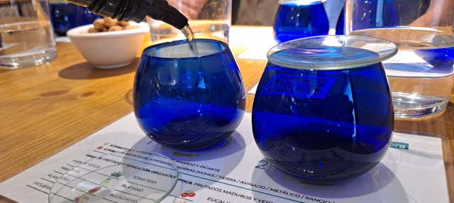 Visita di un uliveto e frantoio + Degustazione di oli e conserve