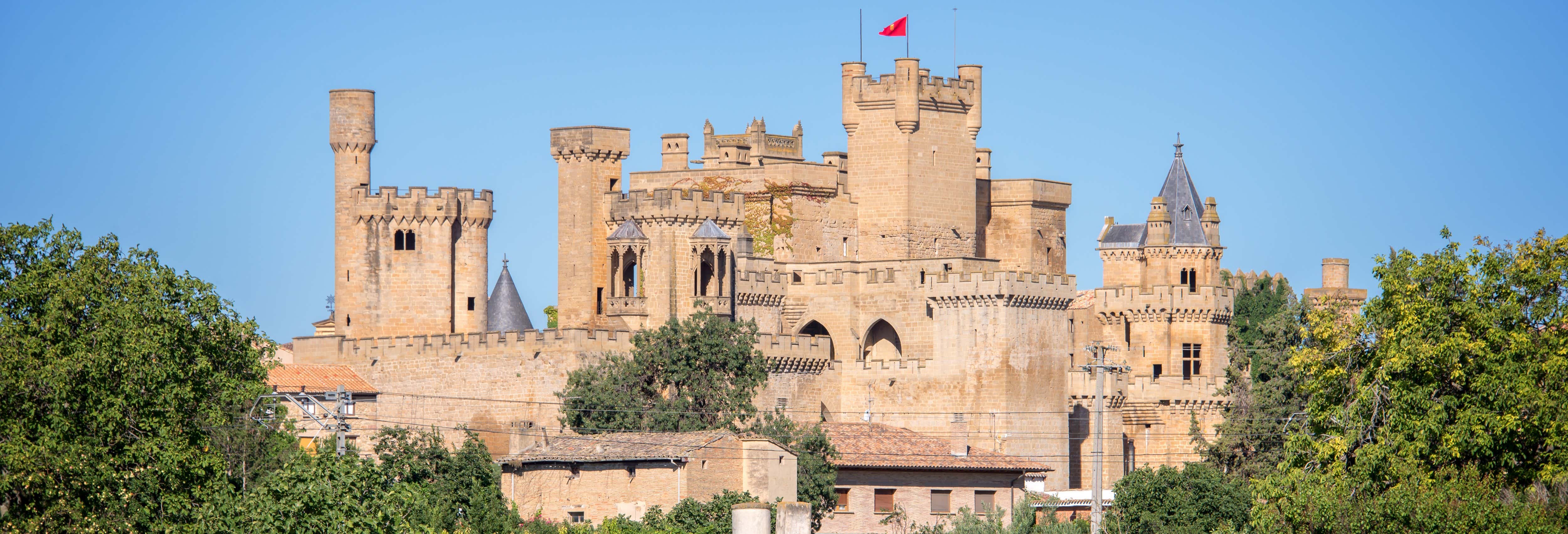 Tour privado por Olite y su castillo