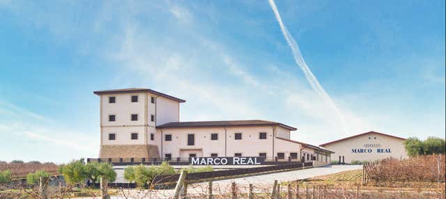 Visita delle cantine Marco Real