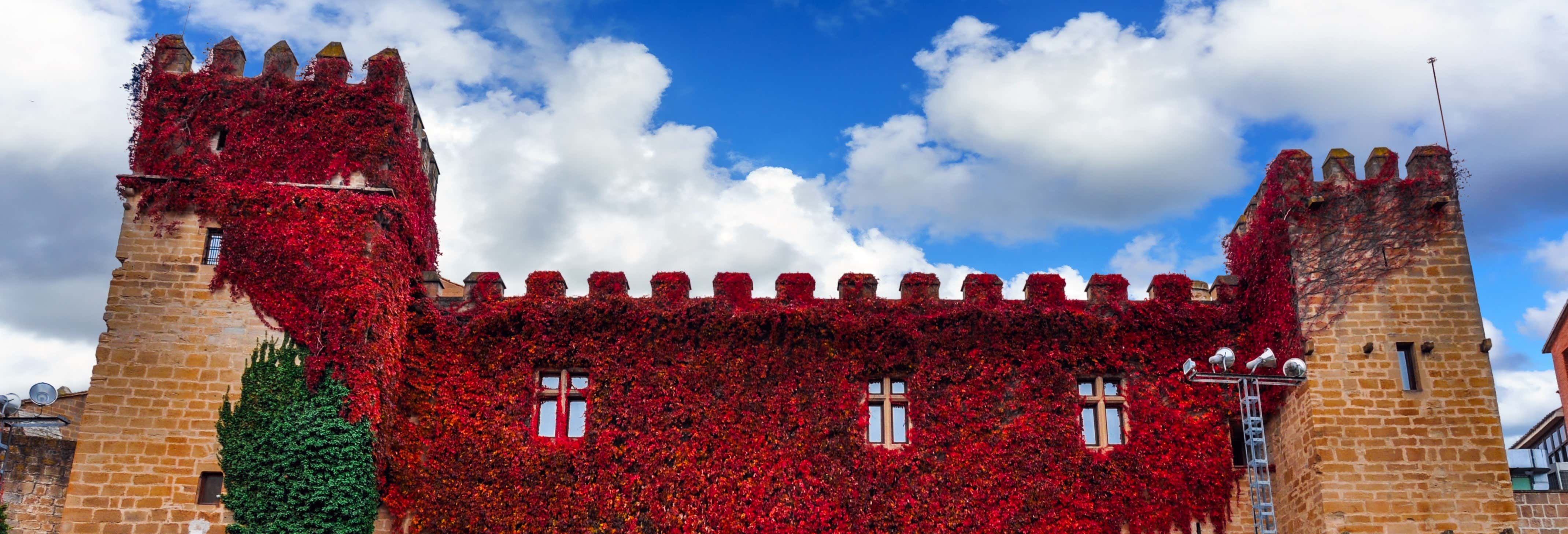 Visita guidata di Olite e del castello