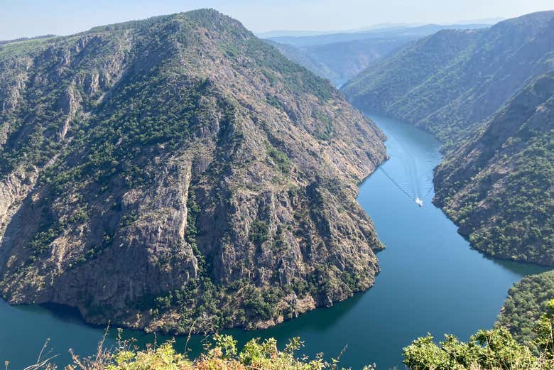 Imagen 5
