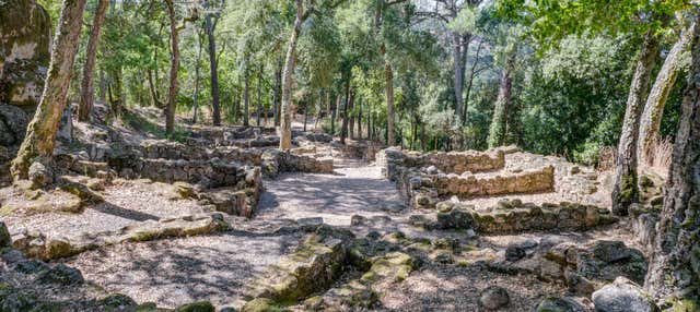 Visita guidata del Castro de Santomé