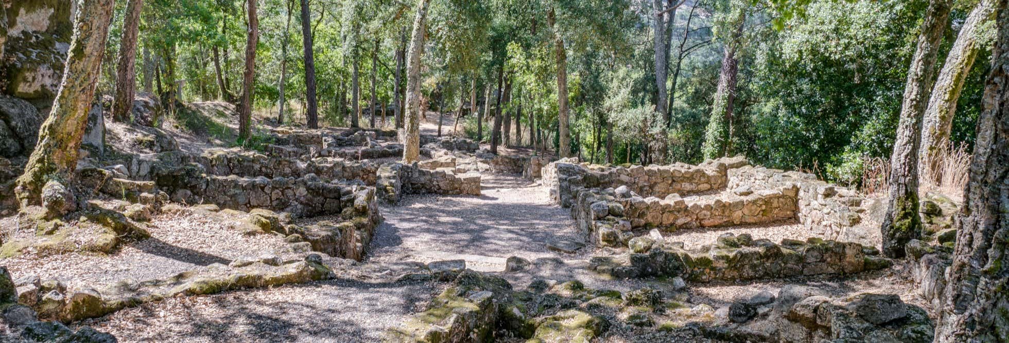 Visita guidata del Castro de Santomé