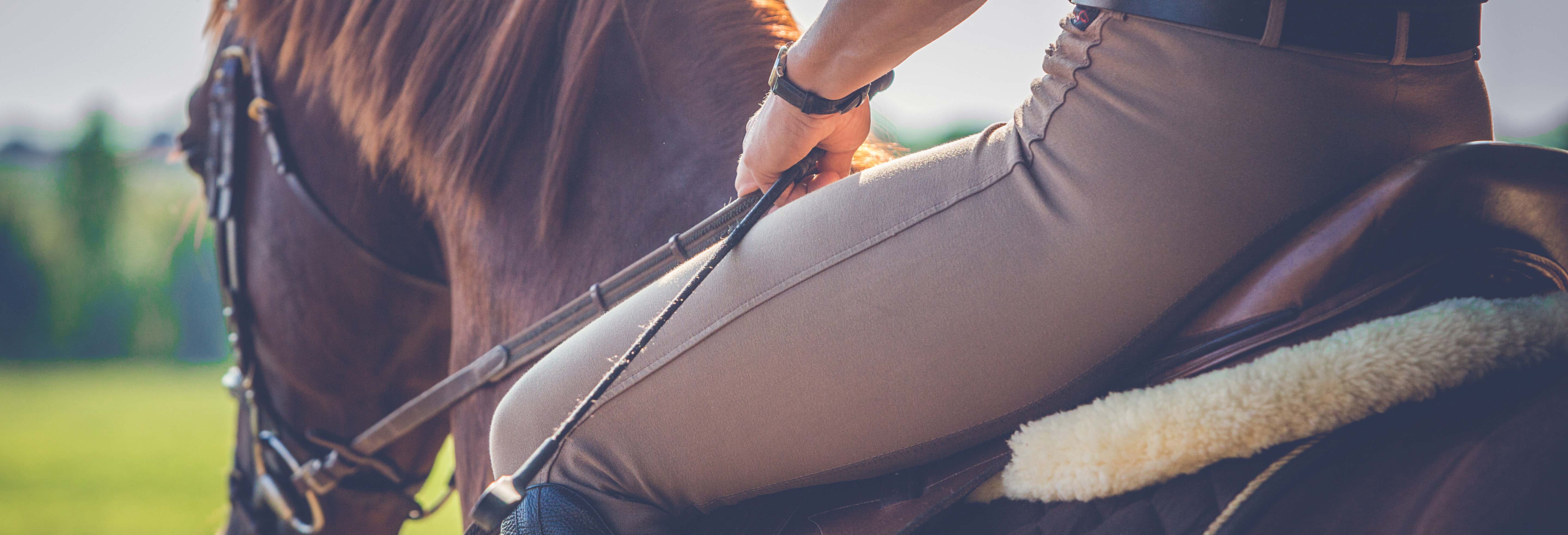 Alpujarra Horseback Riding Tour