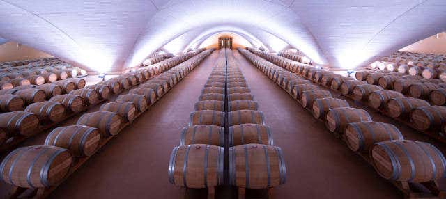 Visita alla cantina Otazu