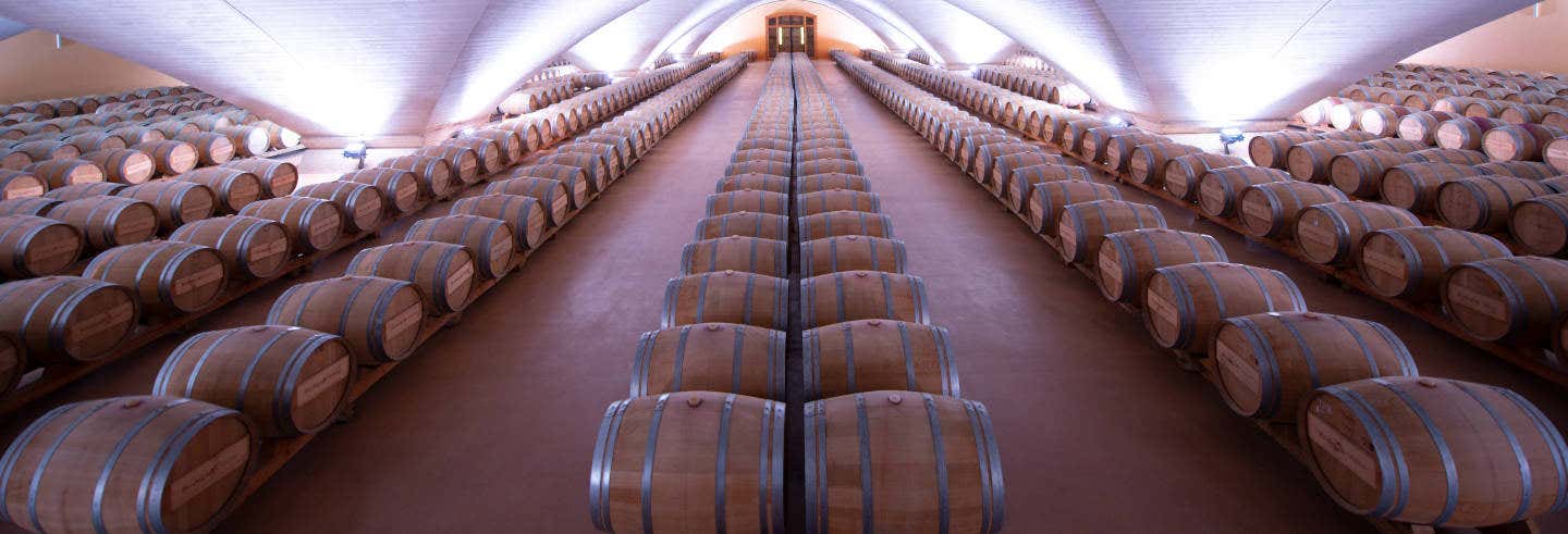 Tour of Señorío de Otazu Winery