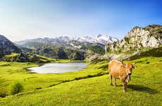 Covadonga & Cangas de Onís Small Group Day Trip