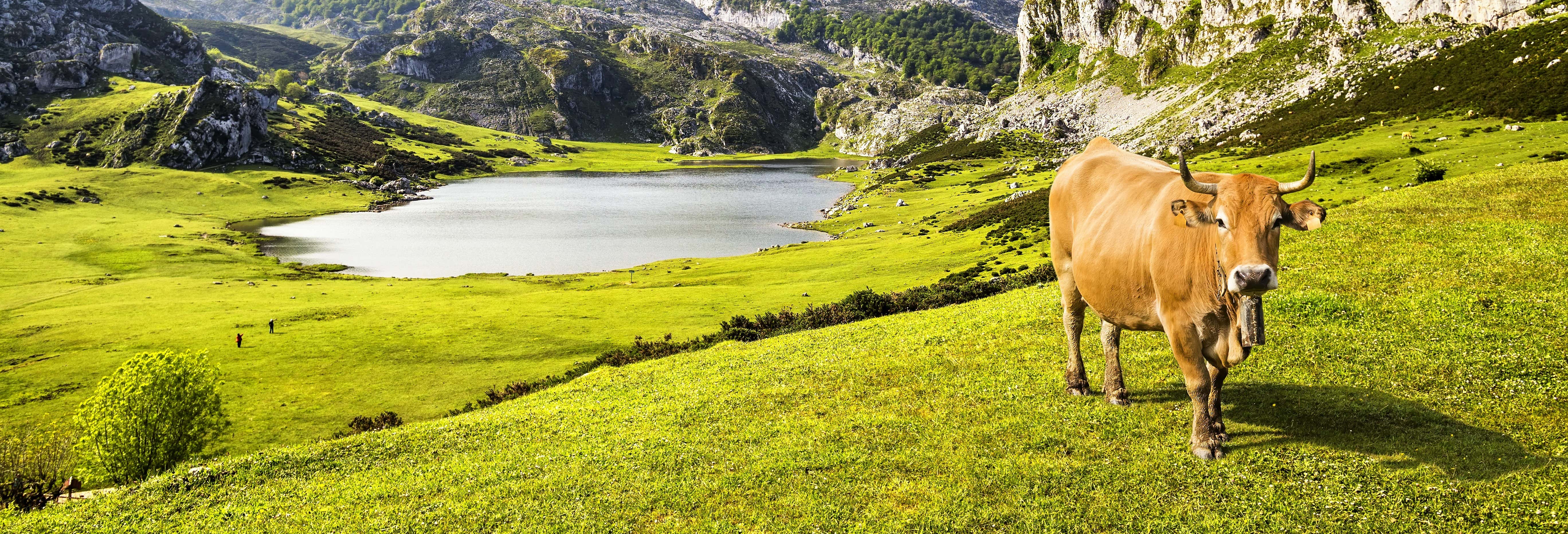 Covadonga Day Trip (Small Group)