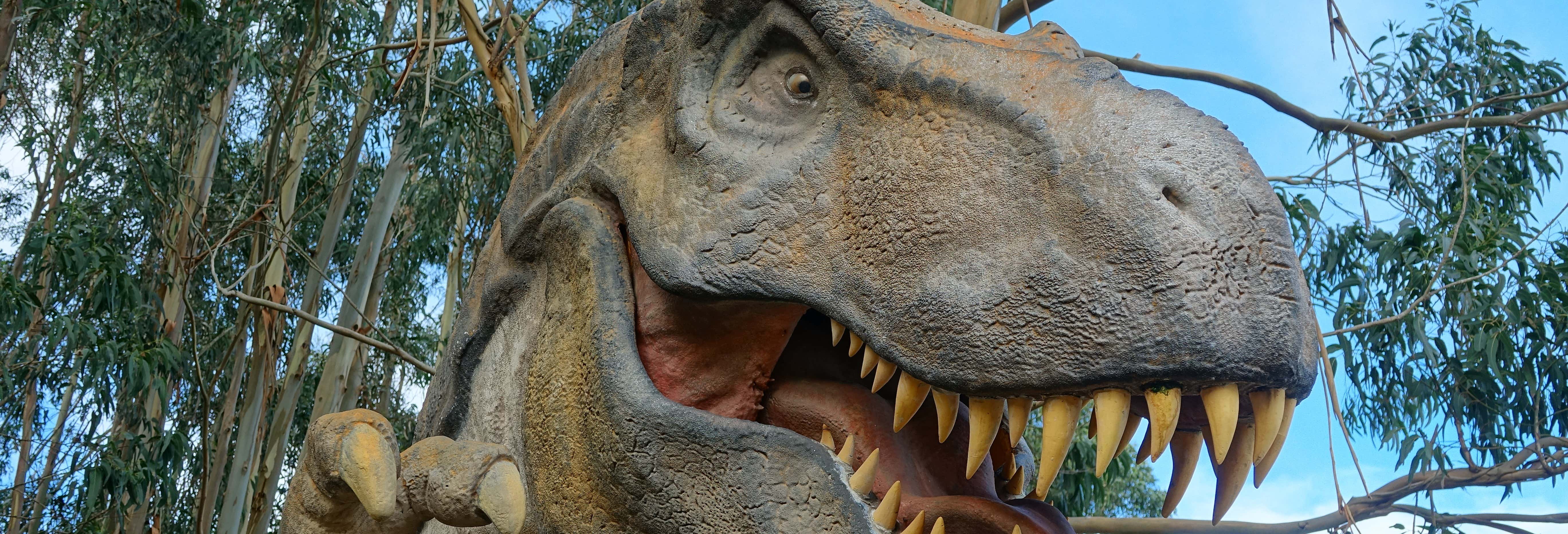 Escursione al MUJA, Lastres, la Cuevona e il Mirador del Fitu