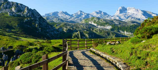 Excursión a los Picos de Europa: Mogrovejo, Santo Toribio y Potes