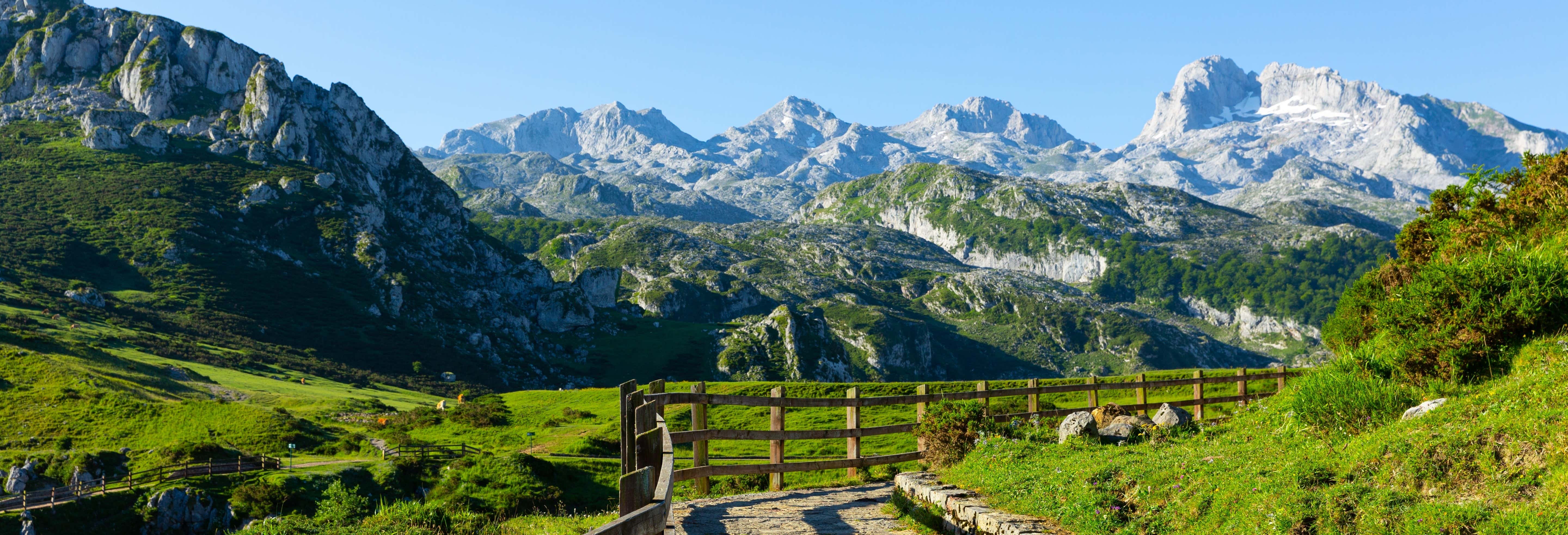 Excursión a los Picos de Europa: Mogrovejo, Santo Toribio y Potes