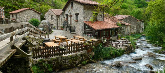 Escursione ai Picos de Europa + Cueva del Queso de Cabrales con degustazione