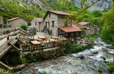 Excursión a los Picos de Europa + Cueva del Queso de Cabrales con degustación