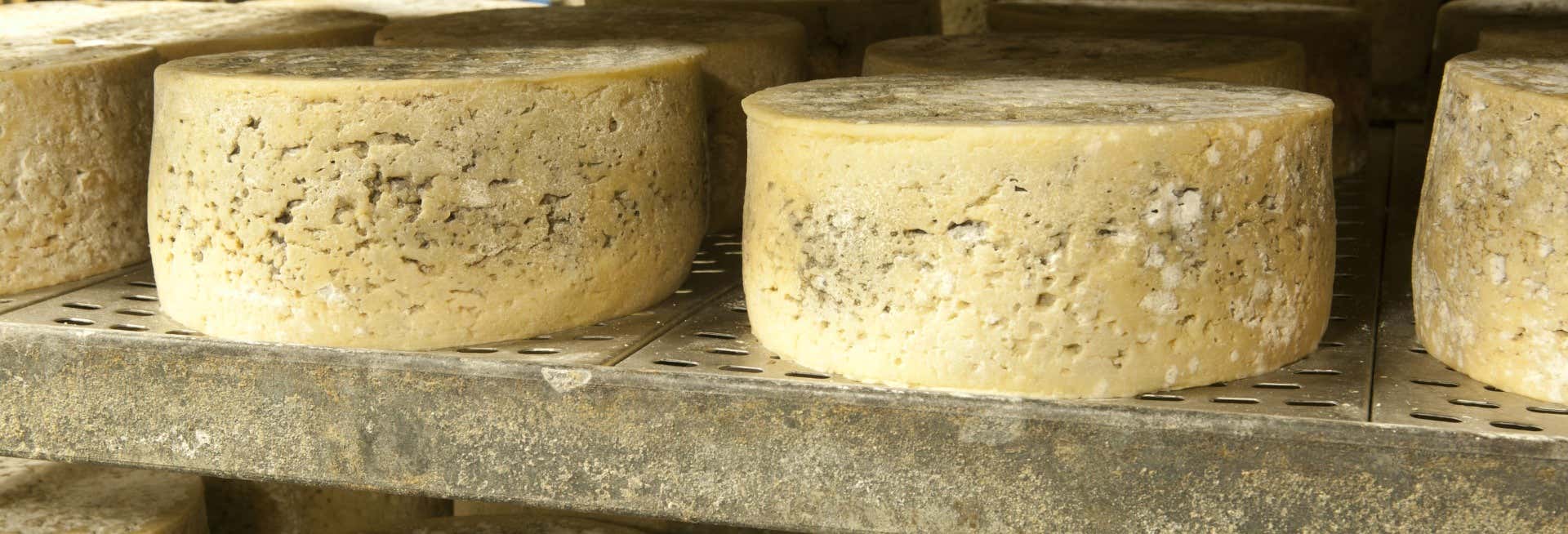 Cabrales Cheese Tour in Asturias