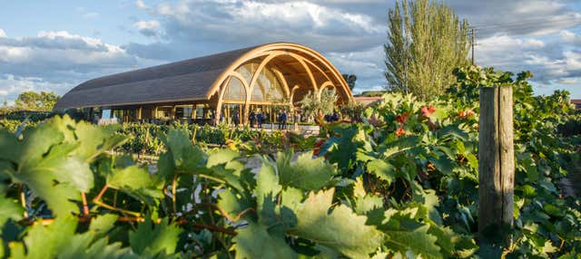 Visita alla cantina Bodegas Faustino