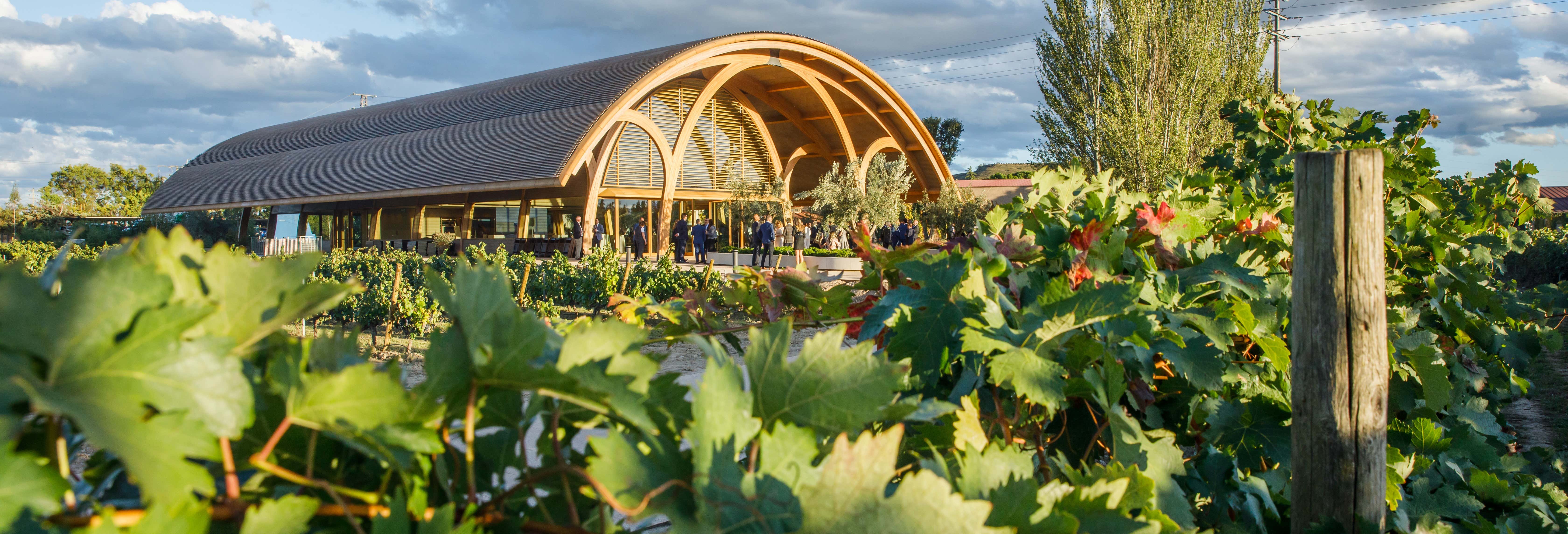 Visita alla cantina Bodegas Faustino