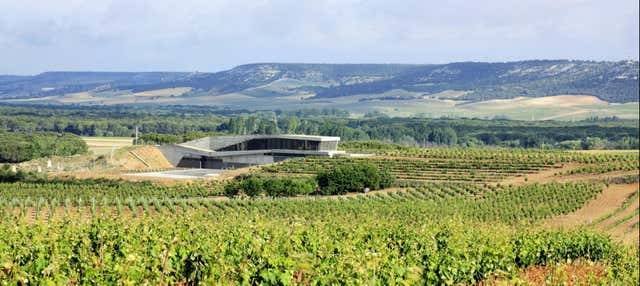 Visita alla cantina Tr3smano