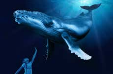 Palma Aquarium Tickets