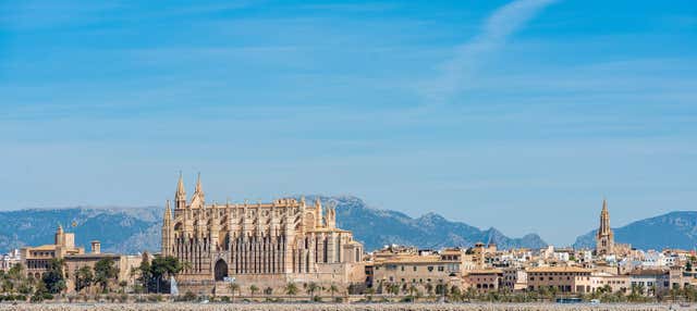 Entradas a la Catedral de Palma y sus terrazas +  Museo de Arte Sacro
