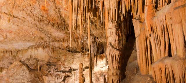 Speleologia marina a Cova des Coloms