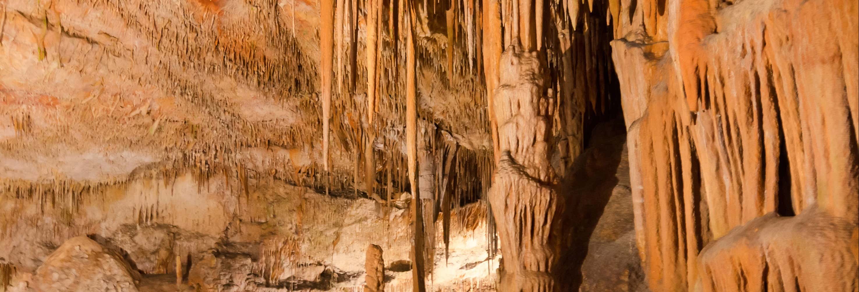 Speleologia marina a Cova des Coloms