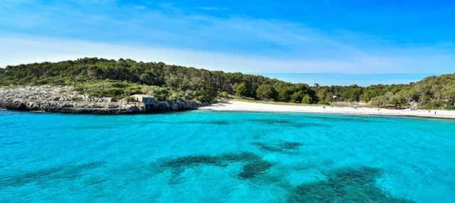 Escursione a Cala Mondragó, S'Amarador e spiaggia Barca Trencada