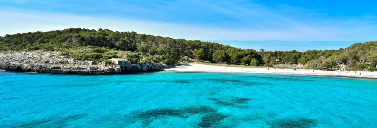Escursione a Cala Mondragó, S'Amarador e spiaggia Barca Trencada