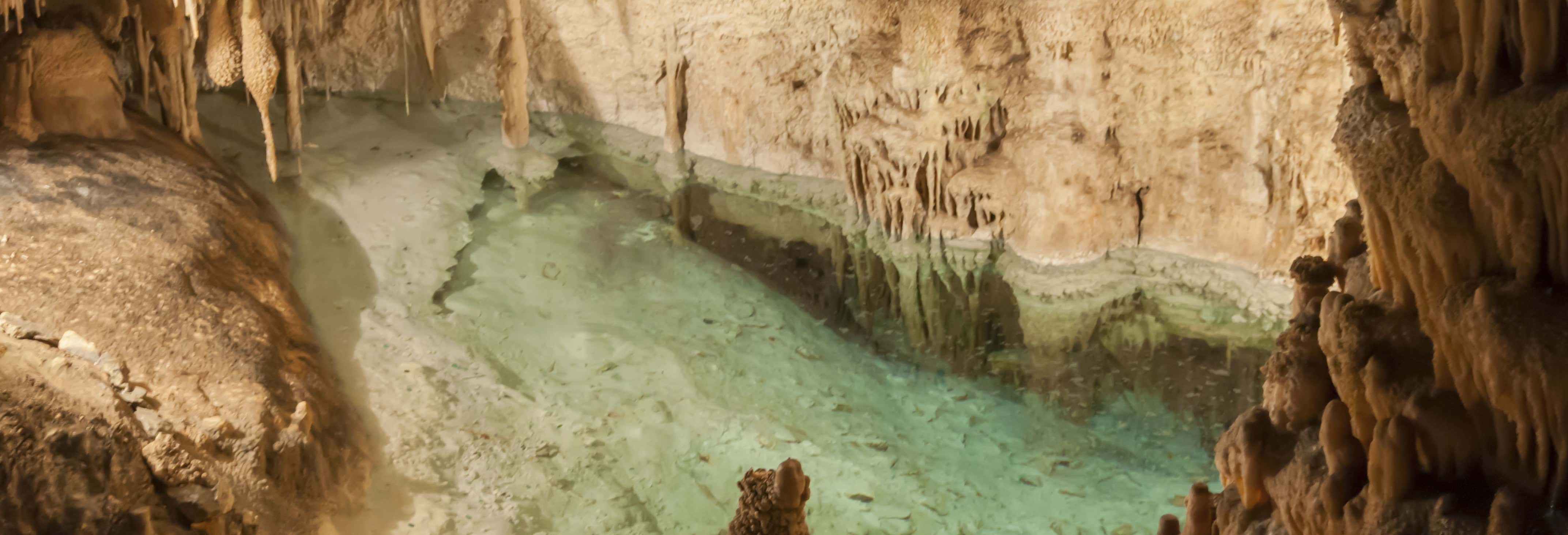 Escursione di un giorno intero alle grotte del Drago dal sud di Maiorca