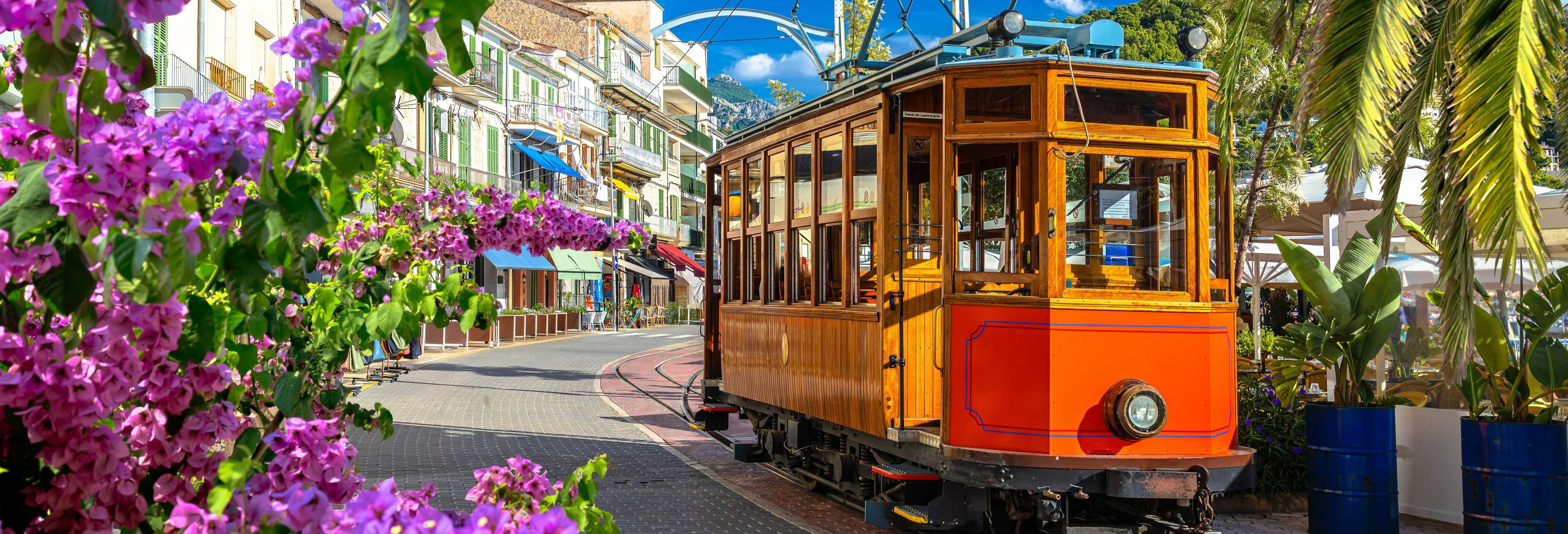 Escursione a Sóller + Tram e treno di legno