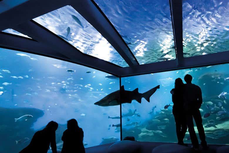 Palma Aquarium Tickets