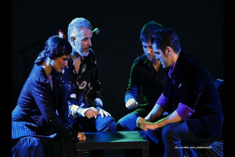 Imagen 11