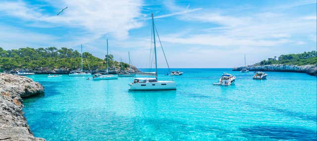 Giro in catamarano nella baia di Palma