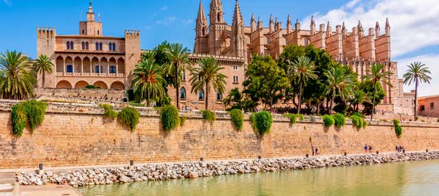 Tour di Palma e della Cattedrale