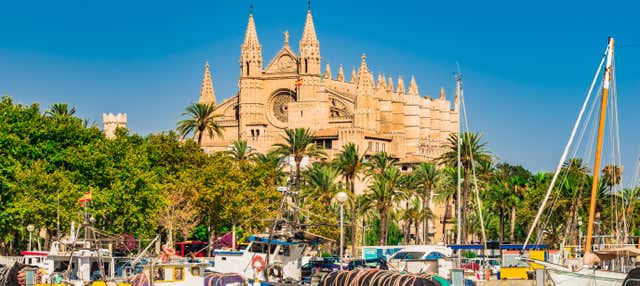 Tour di Palma e della sua cattedrale + Valldemossa