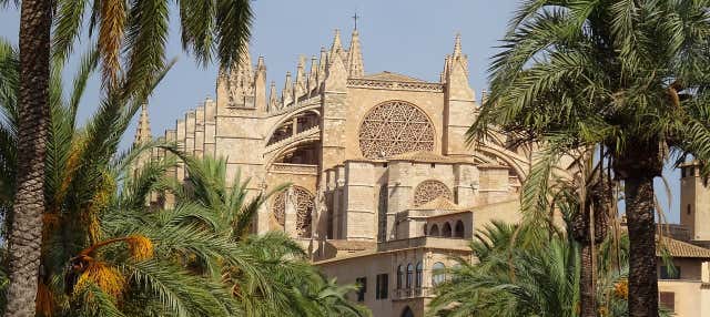 Tour di Palma per croceristi