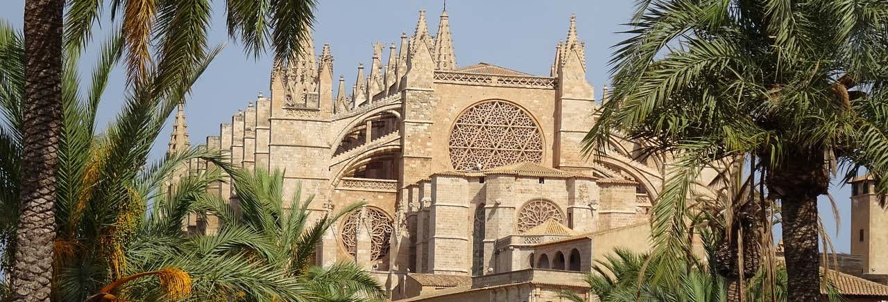 Tour di Palma per croceristi