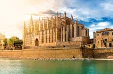 Palma Cathedral Tour