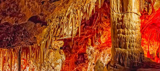 Biglietti per le Grotte di Genova