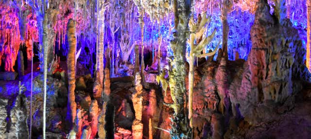 Visita guidata delle Grotte di Hams