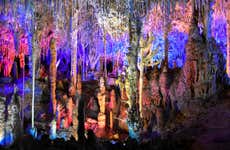 Hams Caves Tour