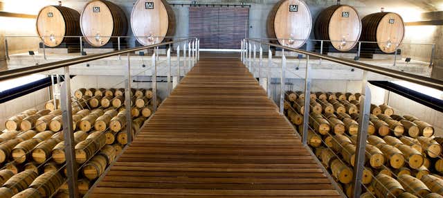 Excursión a Laguardia + Visita a una bodega con cata