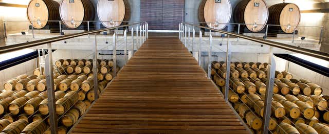 Excursión a Laguardia + Visita a una bodega con cata