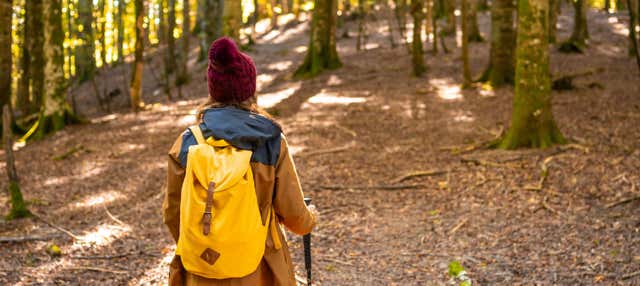 Excursión a la Selva de Irati y Ochagavía