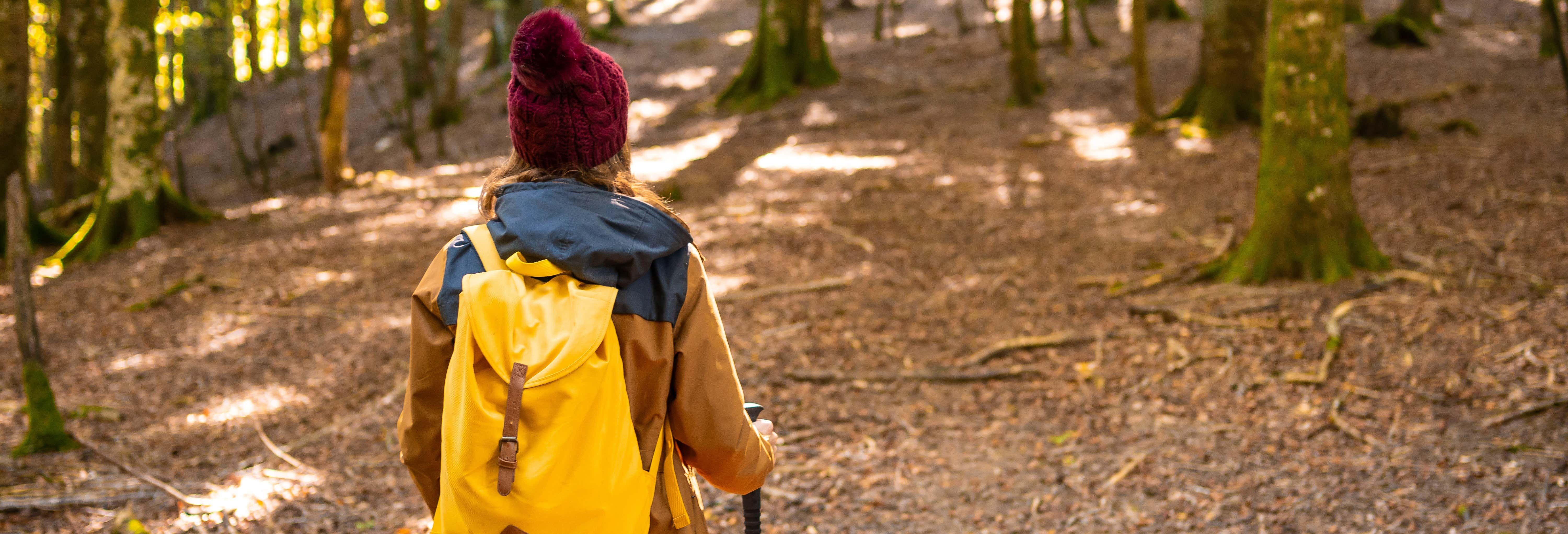 Escursione alla foresta di Irati e Ochagavía