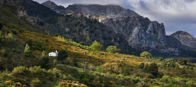 Senderismo por la Sierra de las Nieves