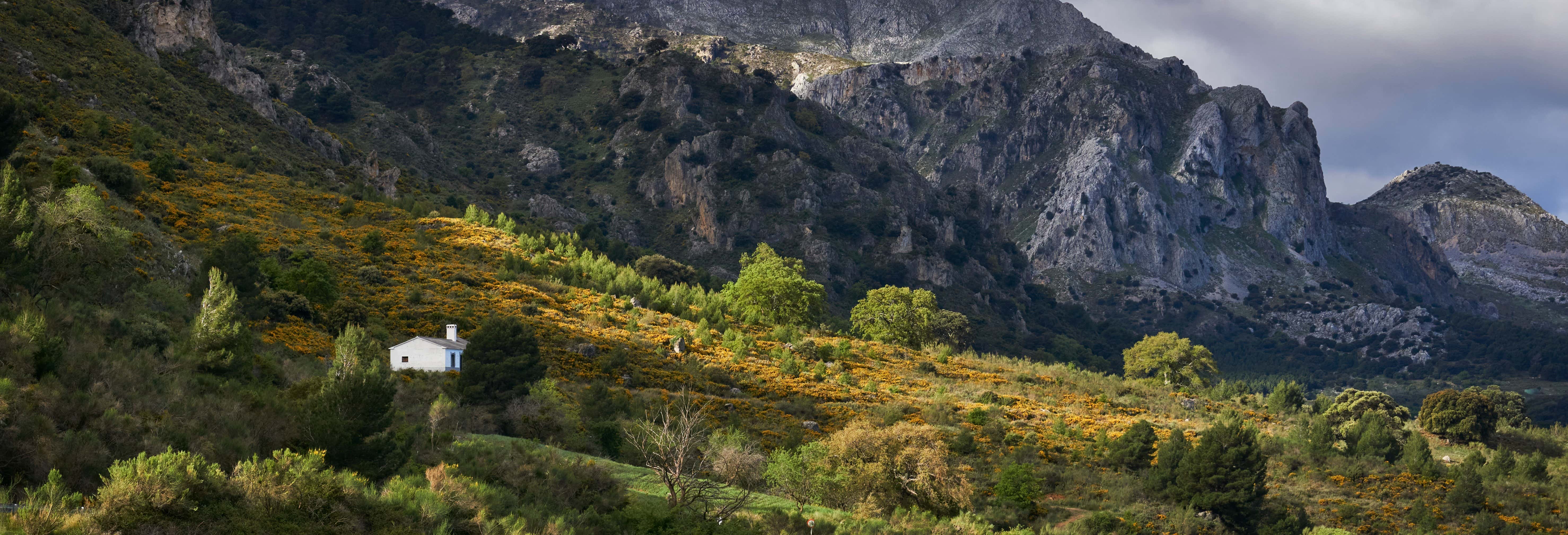 Senderismo por la Sierra de las Nieves