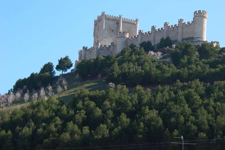 Imagen 8