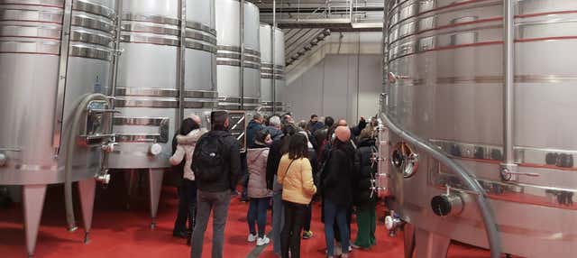 Visita alla cantina Convento Oreja