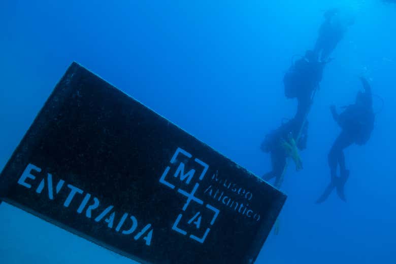 Imagen 3